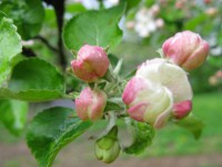 /album/fotogaleria/img-7077-kopia-jpg/